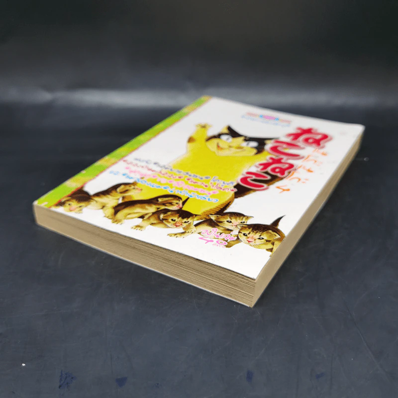 การ์ตูนหมึกจีน เนโกะเนโกะ เล่ม 4 รูปที่ 7