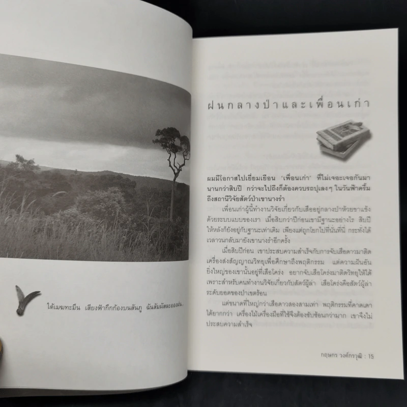 บางสิ่งที่สุกสกาว - กฤษกร วงค์กรวุฒิ รูปที่ 10