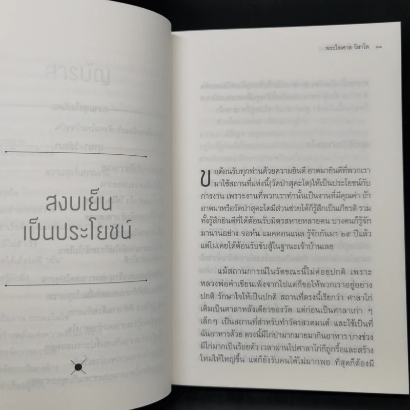 ทำเต็มที่แต่ไม่ซีเรียส - พระไพศาล วิสาโล รูปที่ 10