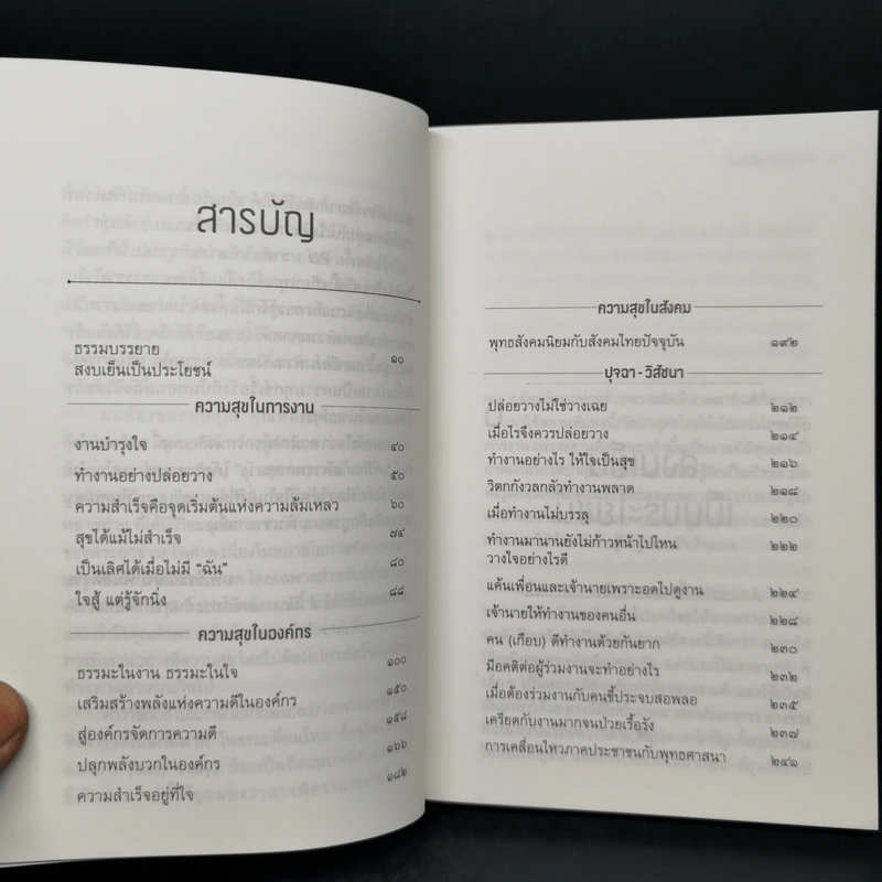 ทำเต็มที่แต่ไม่ซีเรียส - พระไพศาล วิสาโล รูปที่ 9