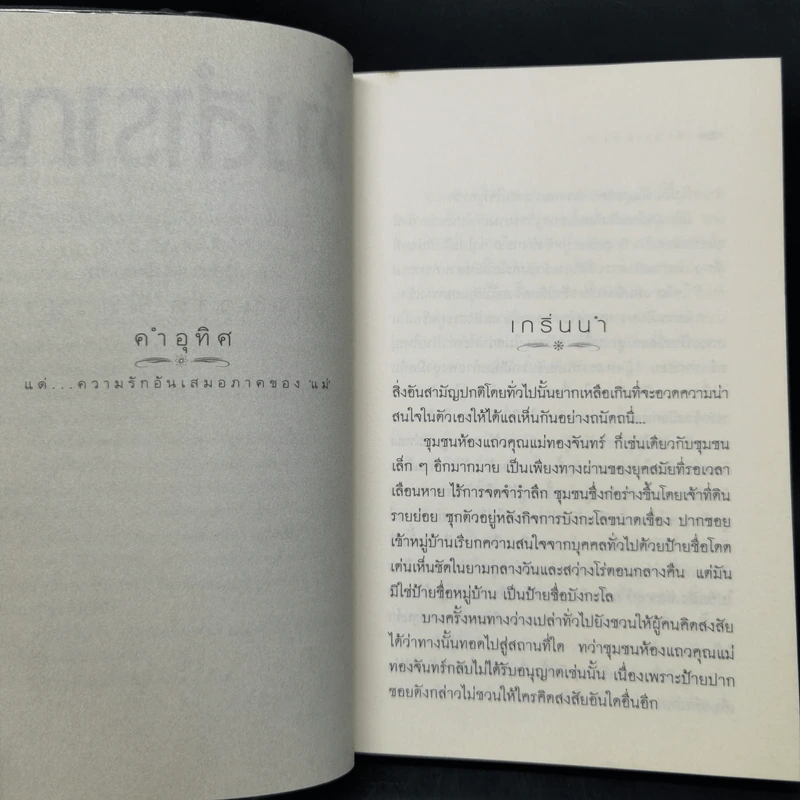 ช่างสำราญ - เดือนวาด พิมวนา รูปที่ 9