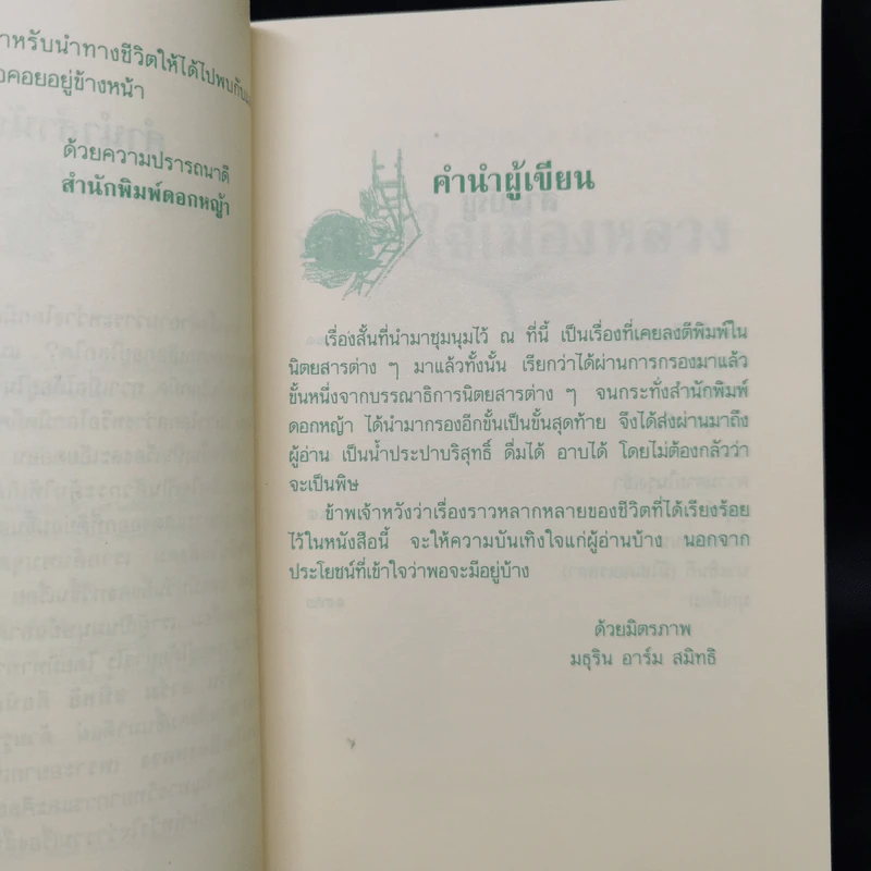 กลางใจเมืองหลวง - มธุริน อาร์ม สมิทธิ รูปที่ 9