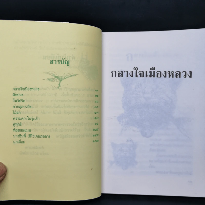 กลางใจเมืองหลวง - มธุริน อาร์ม สมิทธิ รูปที่ 10