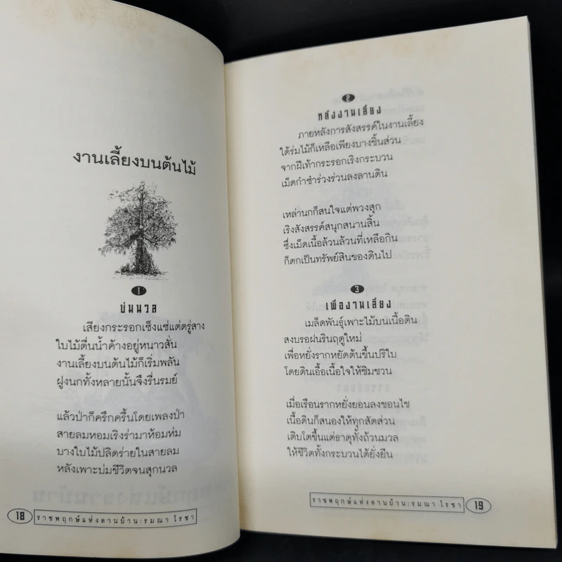 ราชพฤกษ์แห่งลานบ้าน - รมณา โรชา รูปที่ 10