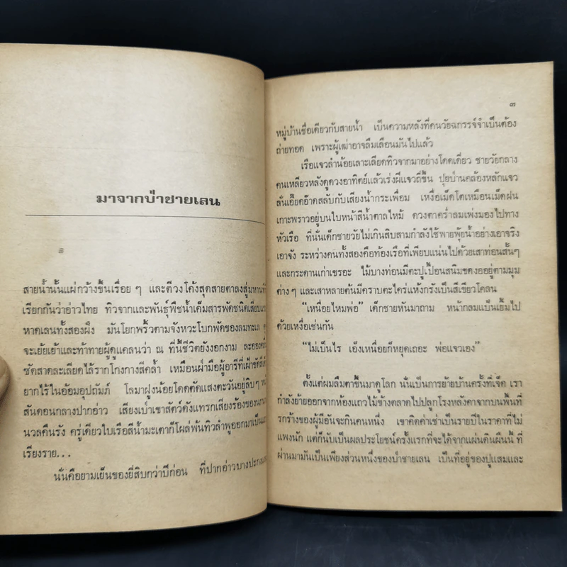 มาจากป่าชายเลน - เสกสรรค์ ประเสริฐกุล รูปที่ 11