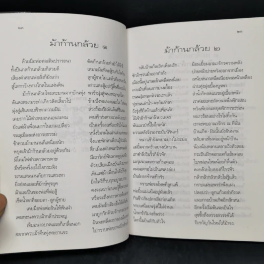 ม้าก้านกล้วย - ไพวรินทร์ ขาวงาม รูปที่ 11