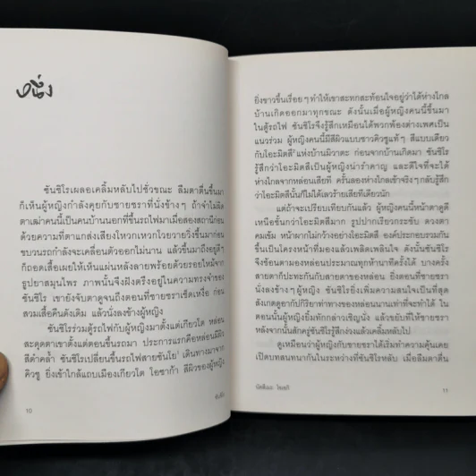 ซันชิโร - นัตสึเมะ โซเซกิ รูปที่ 9