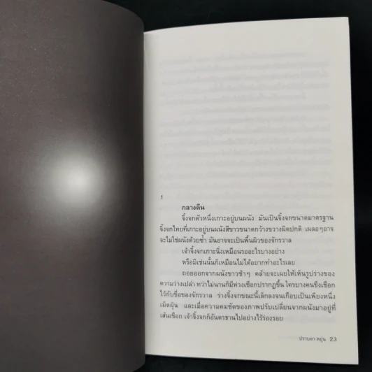 Last Life in the Universe เรื่องรัก น้อยนิด มหาศาล - ปราบดา หยุ่น รูปที่ 11