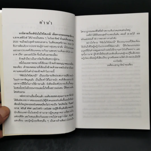 ดิฉันไม่ใช่โสเภณี - ผกามาศ ปรีชา รูปที่ 9