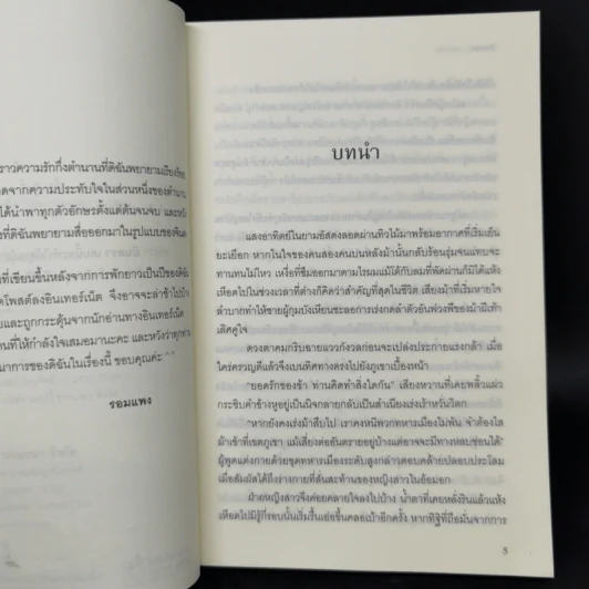มินตรา - รอมแพง รูปที่ 9
