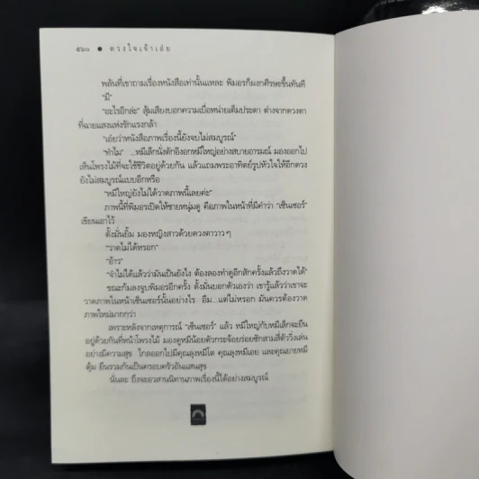 ดวงใจเจ้าเอ๋ย - ดวงตะวัน รูปที่ 11