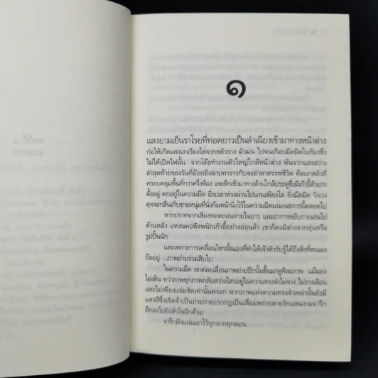แสงเงารัก - ดวงตะวัน รูปที่ 10