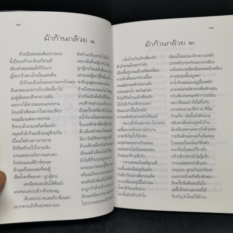 ม้าก้านกล้วย - ไพวรินทร์ ขาวงาม รูปที่ 11