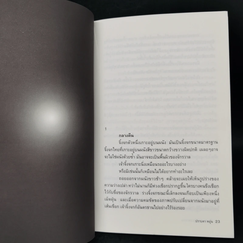 Last Life in the Universe เรื่องรัก น้อยนิด มหาศาล - ปราบดา หยุ่น รูปที่ 11