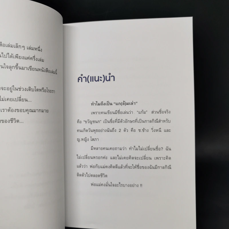 แก(ล้)มเล่า - ขวัญชนก วุฒิกุล รูปที่ 10