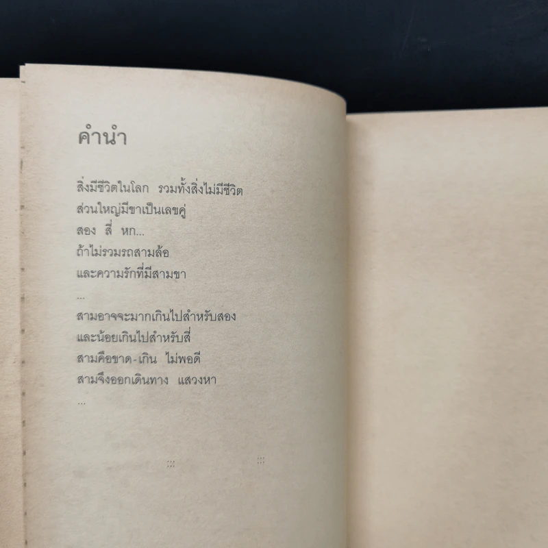 รักสามขา - วีร์วิศ รูปที่ 9