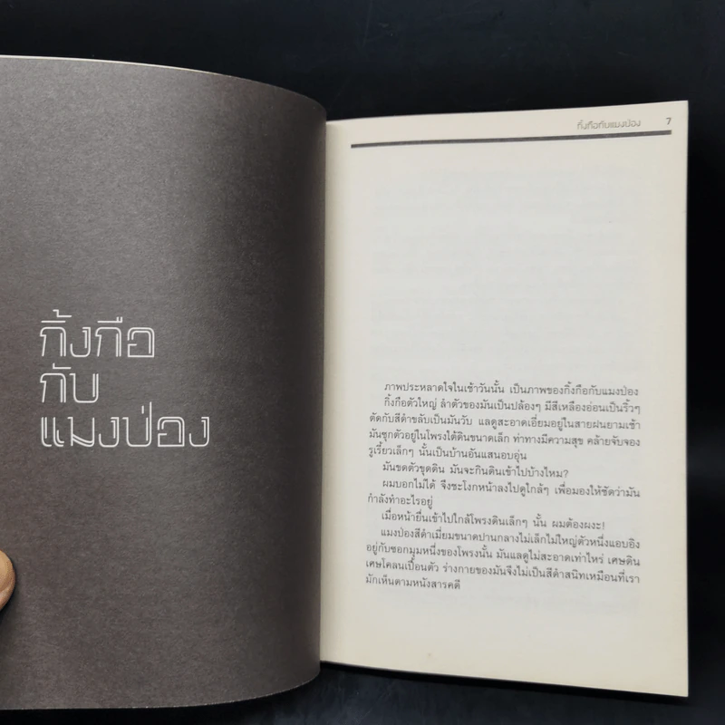 เธอเขาเราผม - โตมร ศุขปรีชา รูปที่ 8