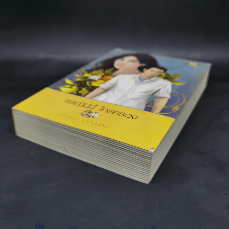 ธรณีนี่นี้ ใครครอง - กาญจนา นาคนันทน์ รูปที่ 7