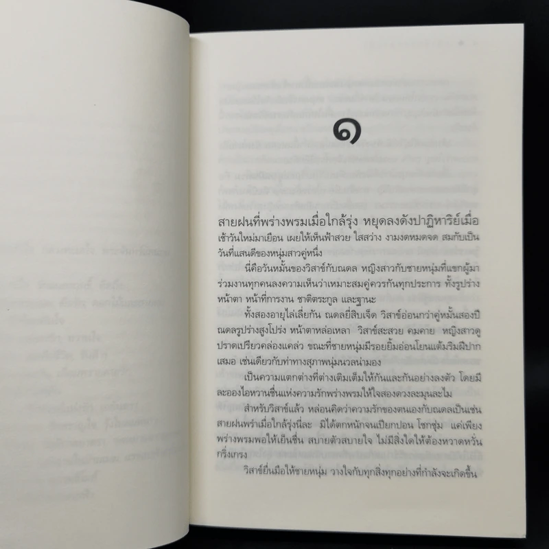 แสงรักจากสายฟ้า - ดวงตะวัน รูปที่ 10