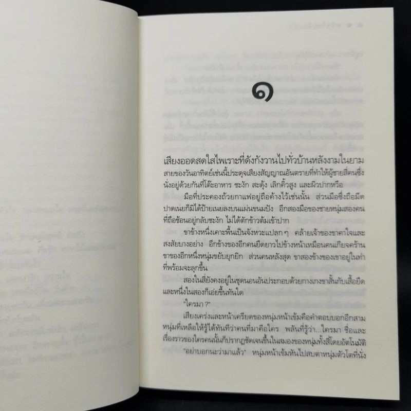ดวงใจเจ้าเอ๋ย - ดวงตะวัน รูปที่ 10