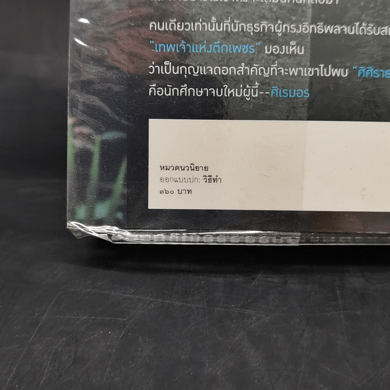 เพชรพราวใจ - ดวงตะวัน รูปที่ 11
