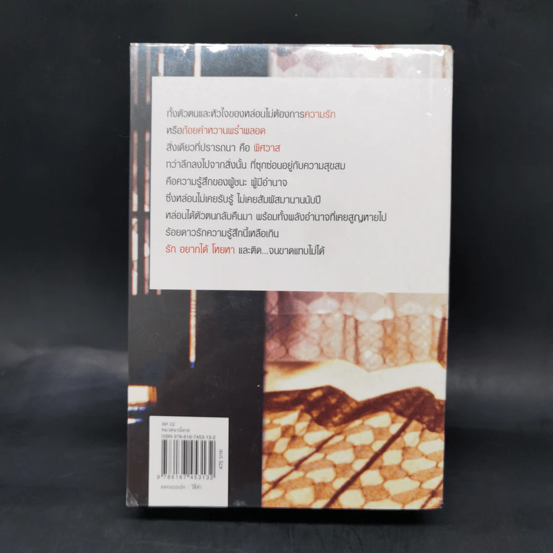 แสงเงารัก - ดวงตะวัน รูปที่ 2