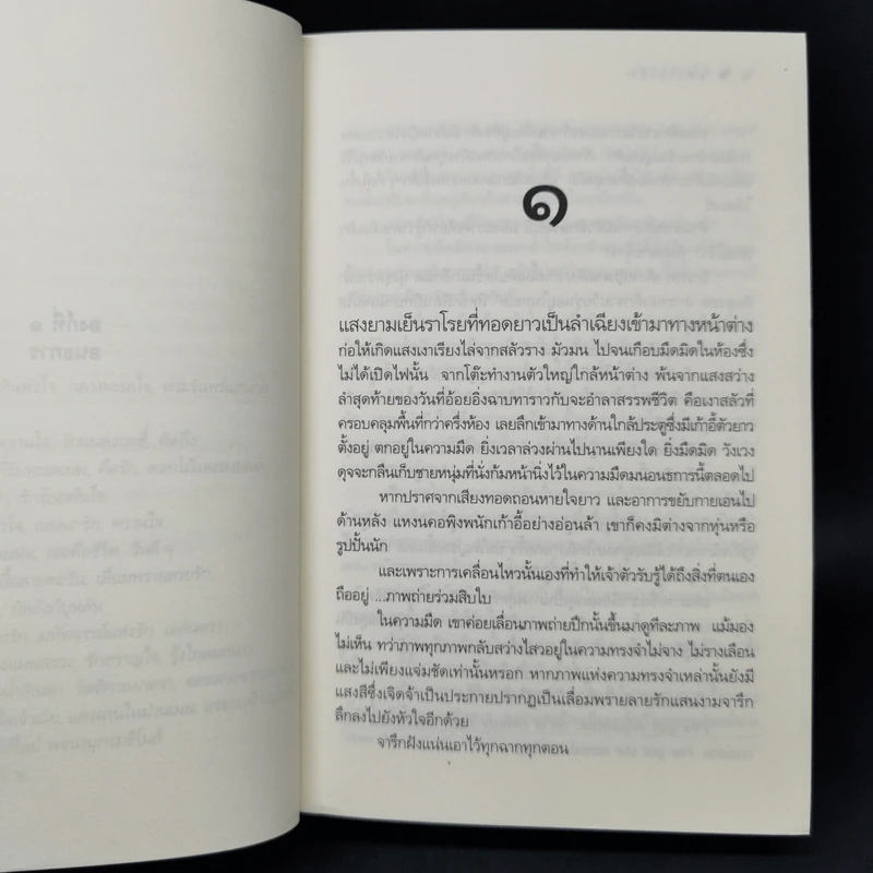 แสงเงารัก - ดวงตะวัน รูปที่ 10