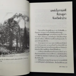 ล้านนาประเทศ - ศรีศักร วัลลิโภดม รูปที่ 10