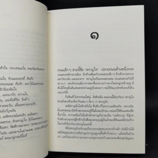 รักสราญใจ - ดวงตะวัน รูปที่ 10