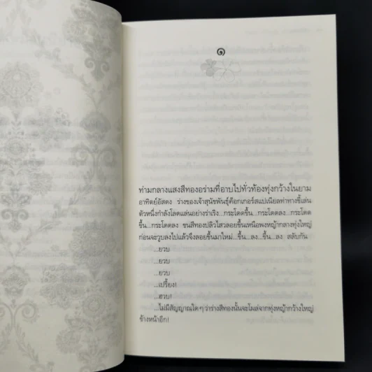คุณท่าน - จันทร์ ศรีจรูญ แอนเดอร์สัน รูปที่ 9