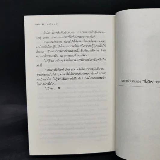 ในเรือนใจ - กิ่งฉัตร รูปที่ 11