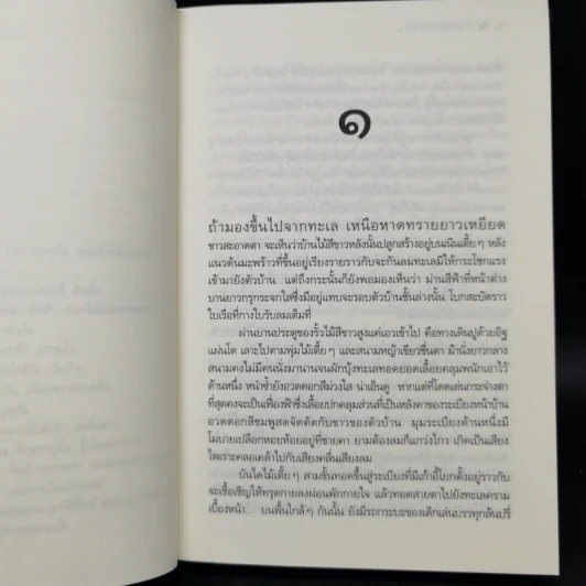 กลางทะเลใจ - ดวงตะวัน รูปที่ 10