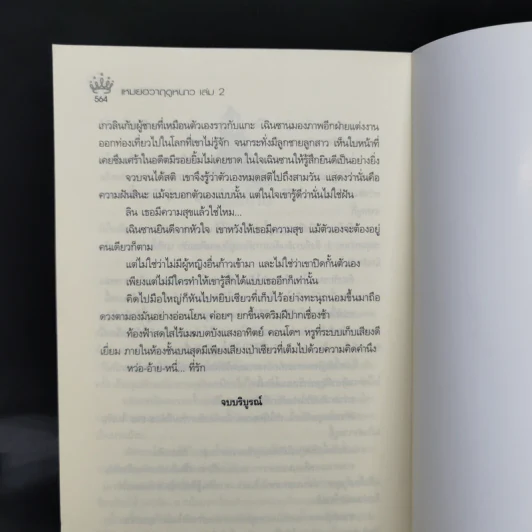 เหมยฮวาฤดูหนาว 2 เล่มจบ - เหลียนฮวาสีชมพู รูปที่ 11