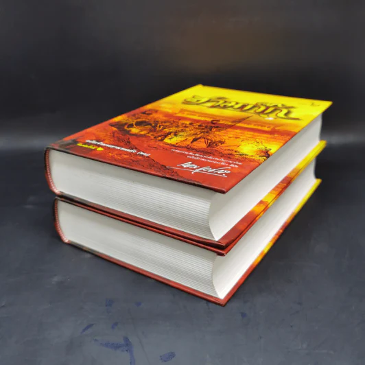 Boxset สามก๊ก ฉบับเจ้าพระยาพระคลัง (หน) 2 เล่มจบ (ภาพประกอบโดย เหม เวชกร) รูปที่ 11