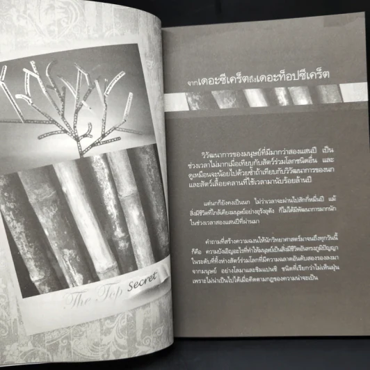 The Top Secret เดอะท็อปซีเคร็ต - ทันตแพทย์สม สุจีรา รูปที่ 11