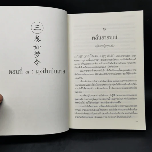 ยอดพธูโจรสลัด 2 เล่มจบ - เยวี่ยชูอวิ้น (Yue Chu Yun) รูปที่ 10