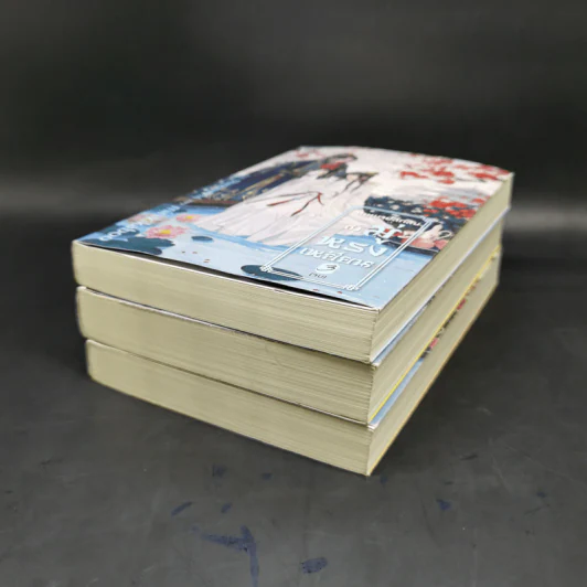นิยายวาย จดหมายลึกลับถึงมู่หรงเหยียน 3 เล่มจบ - minikikaboo รูปที่ 6