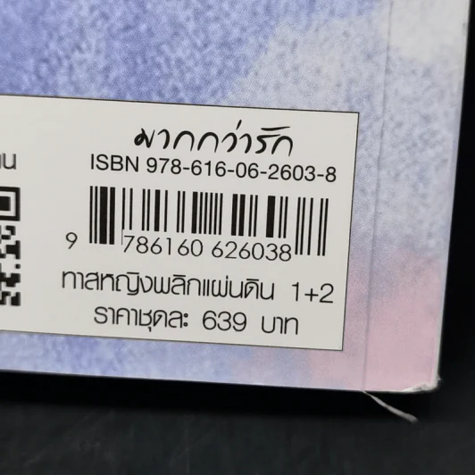 นิยายแจ่มใส ทาสหญิงพลิกแผ่นดิน 2 เล่มจบ - ชิงเหยา รูปที่ 14