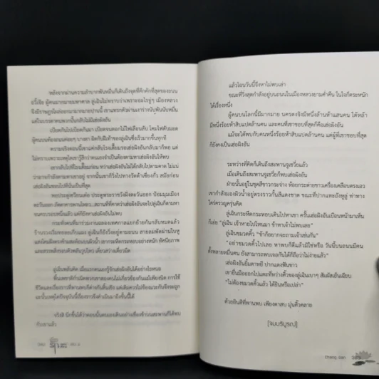 นิยายวาย เคียงรัก บัลลังก์มังกร 2 เล่มจบ - Chang Gan รูปที่ 11