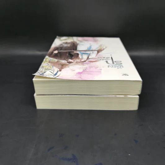 นิยายวาย เคียงรัก บัลลังก์มังกร 2 เล่มจบ - Chang Gan รูปที่ 6