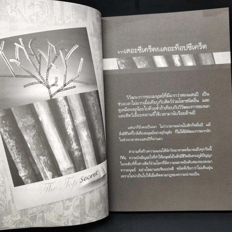 The Top Secret เดอะท็อปซีเคร็ต - ทันตแพทย์สม สุจีรา รูปที่ 11