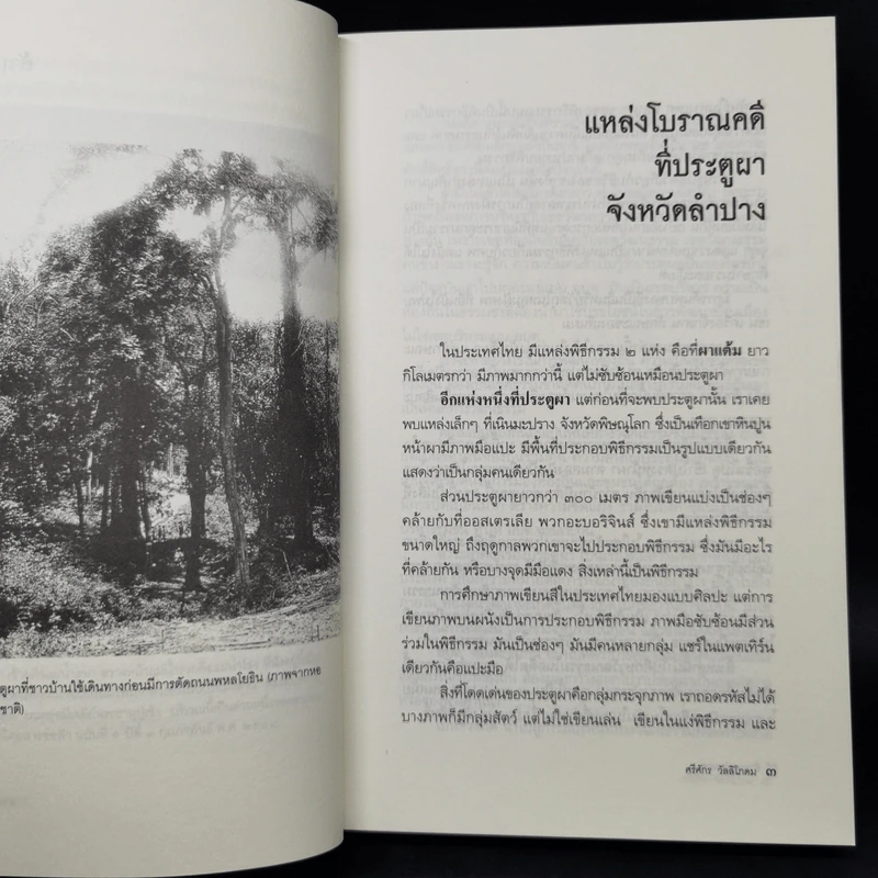 ล้านนาประเทศ - ศรีศักร วัลลิโภดม รูปที่ 10