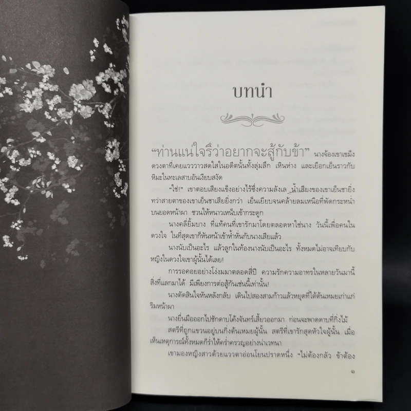 ยอดพธูโจรสลัด 2 เล่มจบ - เยวี่ยชูอวิ้น (Yue Chu Yun) รูปที่ 8