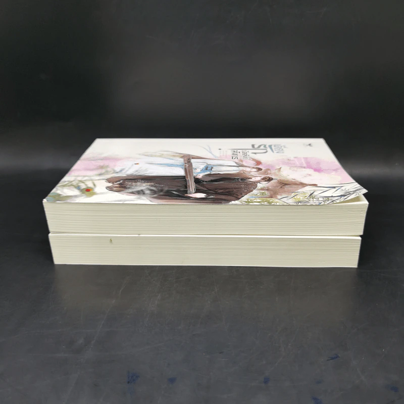 นิยายวาย เคียงรัก บัลลังก์มังกร 2 เล่มจบ - Chang Gan รูปที่ 5