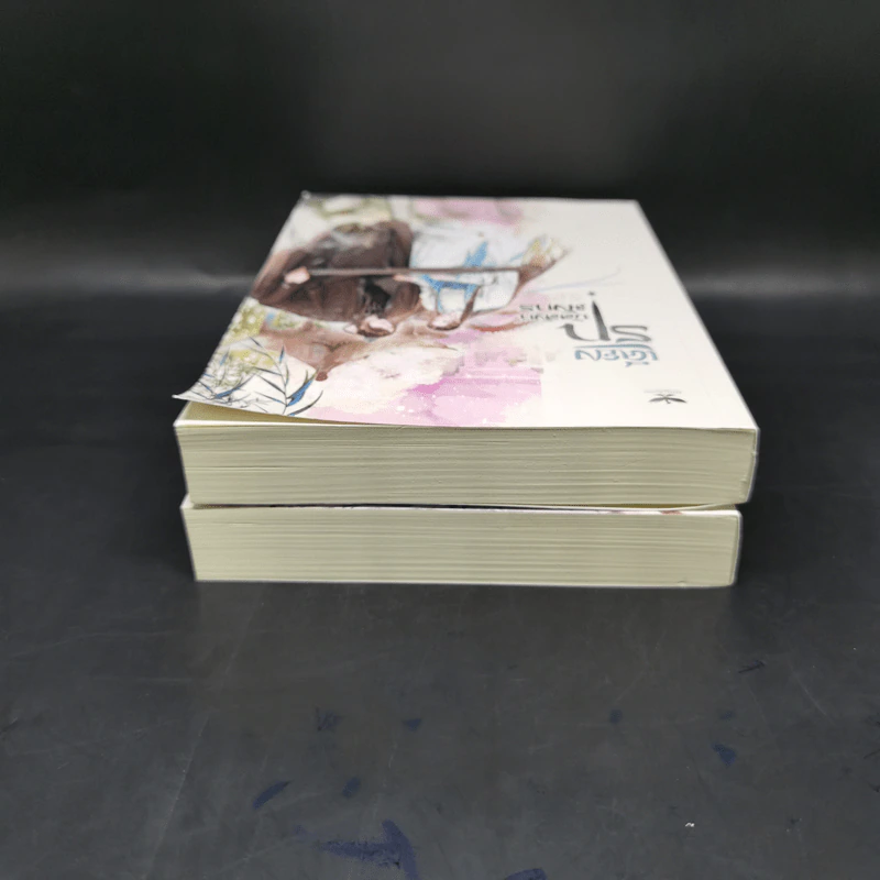 นิยายวาย เคียงรัก บัลลังก์มังกร 2 เล่มจบ - Chang Gan รูปที่ 6