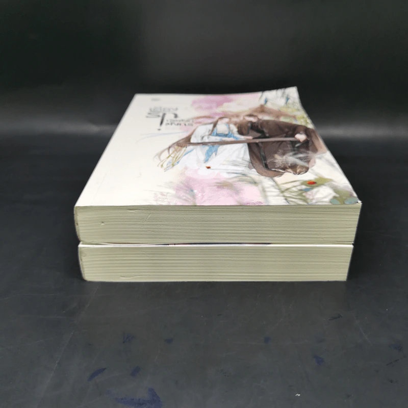 นิยายวาย เคียงรัก บัลลังก์มังกร 2 เล่มจบ - Chang Gan รูปที่ 4