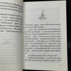 ดวงตาอามาริลลีส - นาตาเลีย แบ็บบิตต์ รูปที่ 9