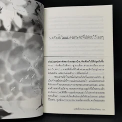 บริษัทไทยไม่จำกัด - สนั่น ชูสกุล รูปที่ 10