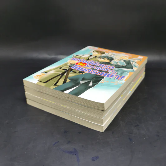 นิยาย ผมน่ะหรือคือราชาปีศาจ ขายรวม 4 เล่ม - Tomo Takabayashi รูปที่ 6