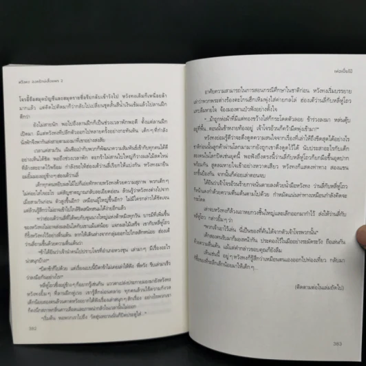หวังทง องครักษ์เสื้อแพร เล่ม 2 - เท่อเปี๋ยไป๋ รูปที่ 10